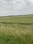 IMG_2273