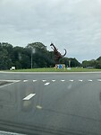 IMG_2277