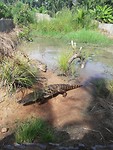 IMG_20190511_091717