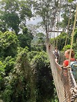 IMG-20190603-WA0065
