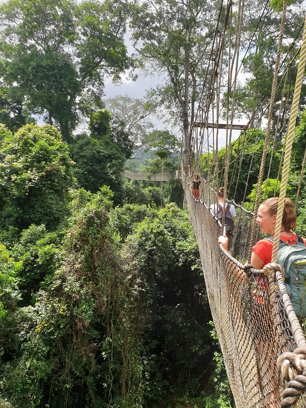 IMG-20190603-WA0065