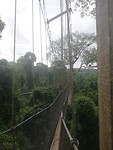 IMG_20190603_101330