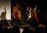 Spaanse Flamenco