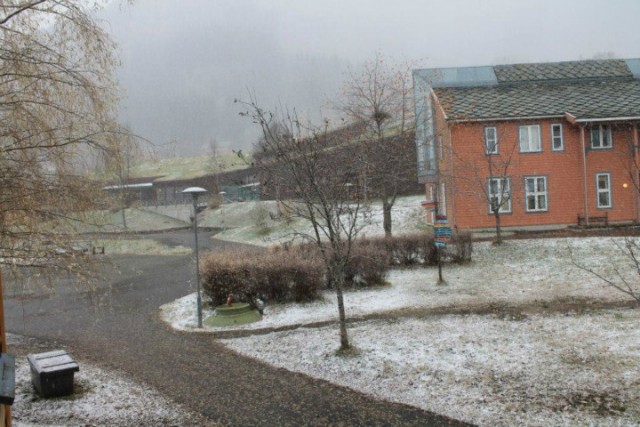 sneeuw op campus