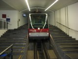 De Flybussen naaar het uitkijkpunt
