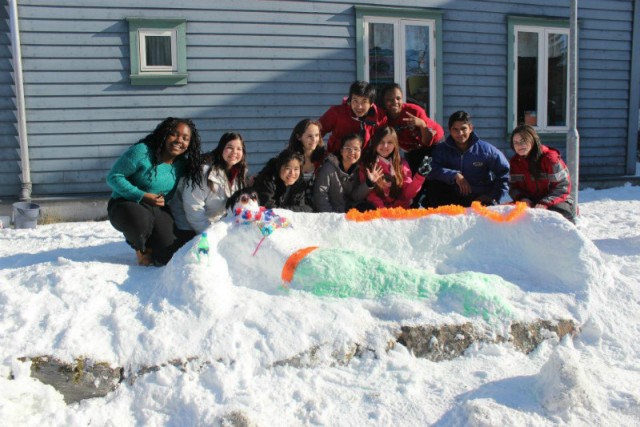 House competitie , onze prachtige zeemeermin van sneeuw!