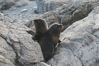 IMG_8987