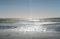 IMG_9212