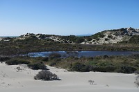 IMG_9235