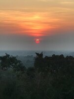 IMG_7529