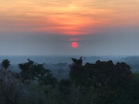 IMG_7534