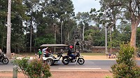 IMG_7565