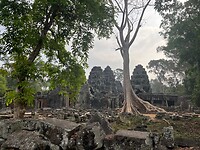 IMG_7600