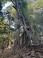 IMG_8112