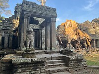 IMG_8115