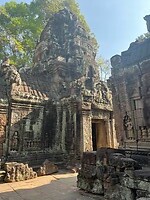 IMG_8178