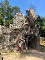 IMG_8194