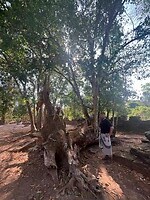 IMG_8199