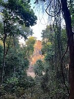 IMG_8252