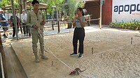 IMG_8296
