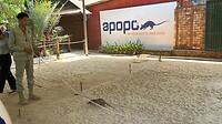 IMG_8300