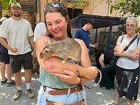 IMG_8307