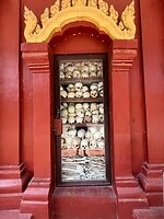 IMG_8335
