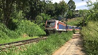 IMG_8042