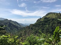 IMG_8045