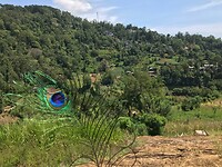 IMG_8052