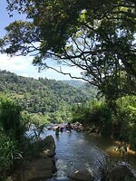 IMG_8064