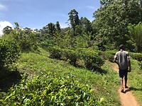 IMG_8066