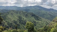 IMG_8069
