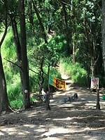 IMG_8073