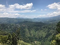 IMG_8081