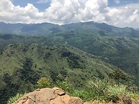 IMG_8083