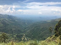 IMG_8090