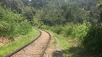 IMG_8101