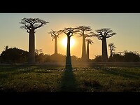 Madagascar 2024