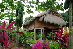 Huisje ubud