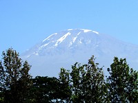 Kilimanjaro