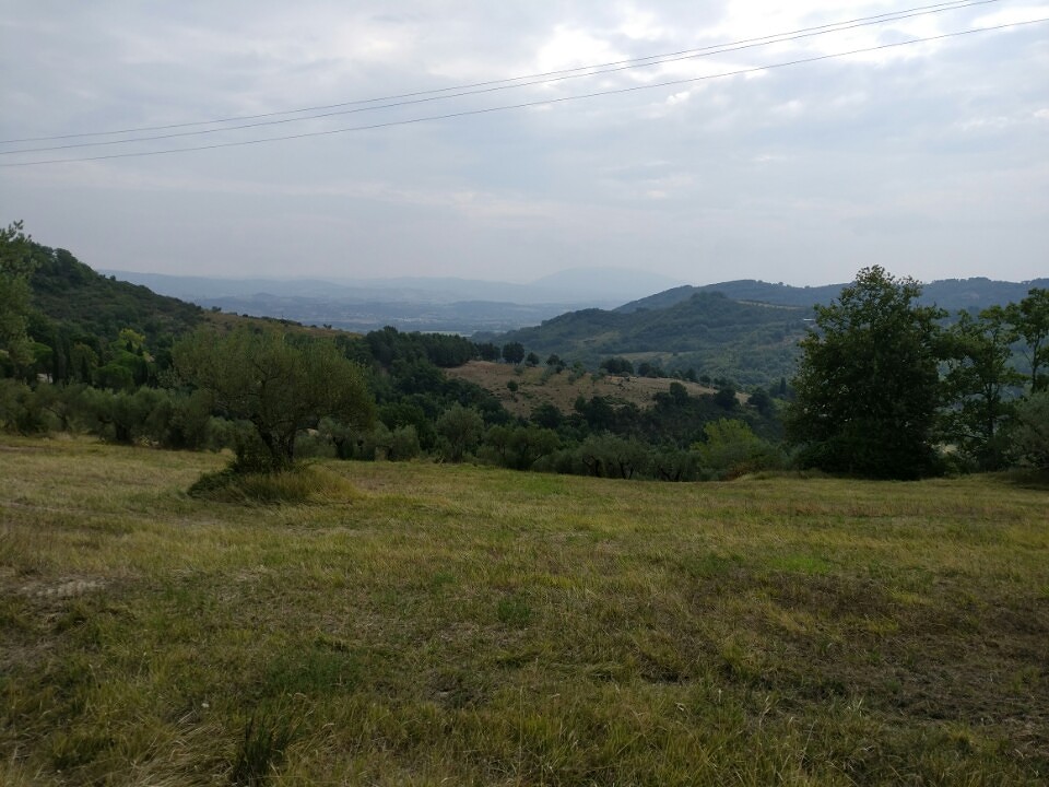 Onderweg naar assisi