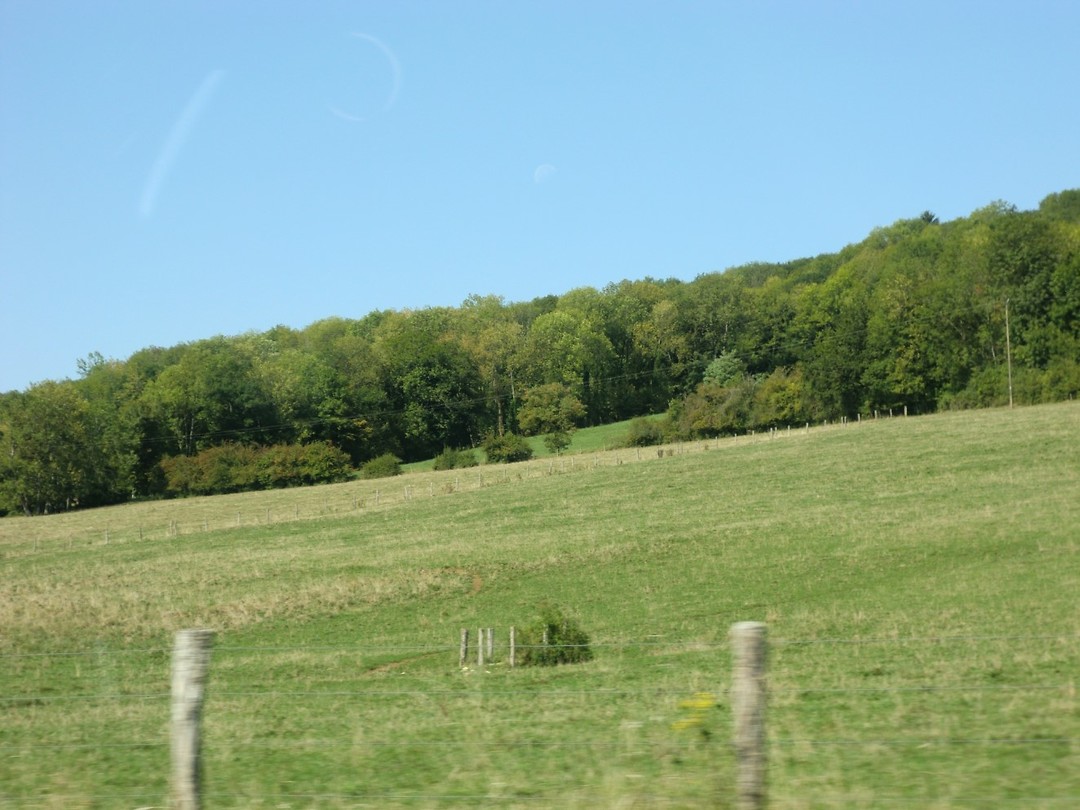 CIMG0857
