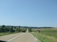 CIMG0858