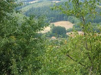 in verte