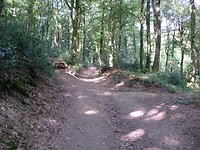 CIMG0920