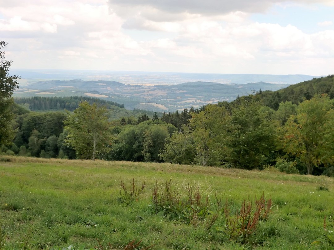 CIMG0955