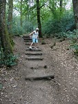 CIMG0958