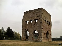 janus1
