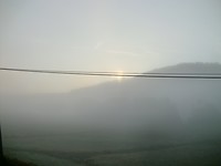 zon1
